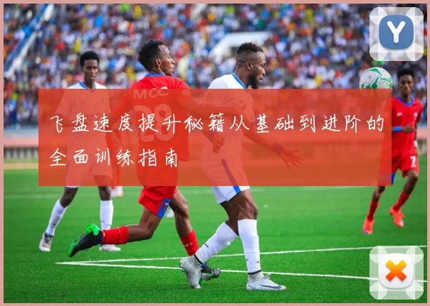 飞盘速度提升秘籍从基础到进阶的全面训练指南