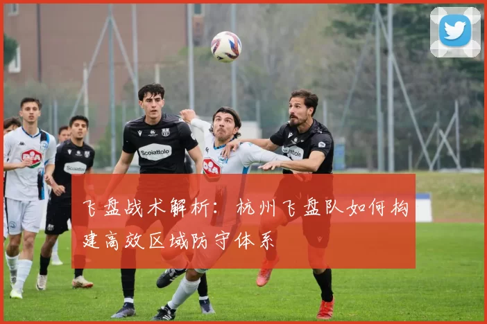 飞盘战术解析：杭州飞盘队如何构建高效区域防守体系