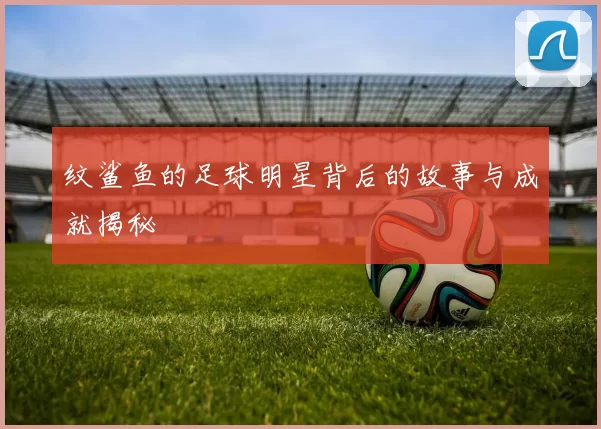 纹鲨鱼的足球明星背后的故事与成就揭秘