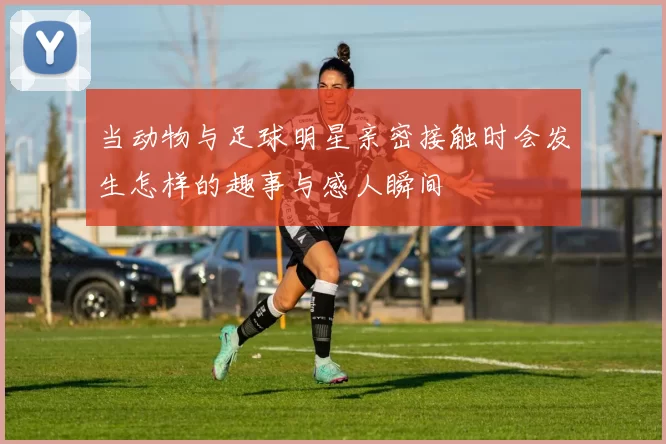 当动物与足球明星亲密接触时会发生怎样的趣事与感人瞬间