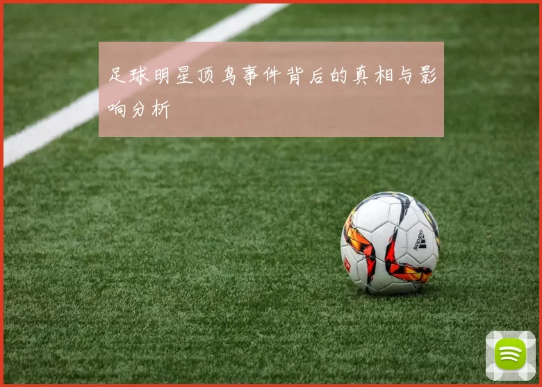足球明星顶鸟事件背后的真相与影响分析