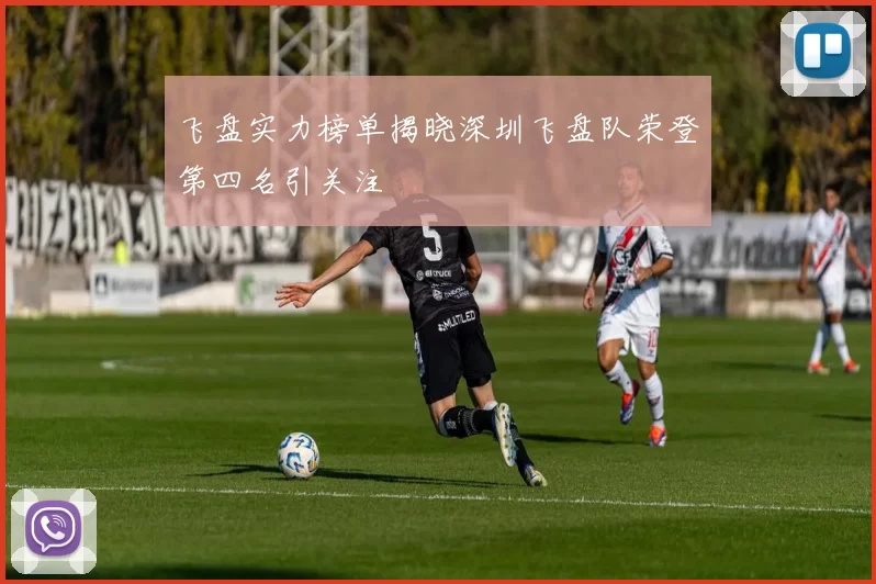 飞盘实力榜单揭晓深圳飞盘队荣登第四名引关注