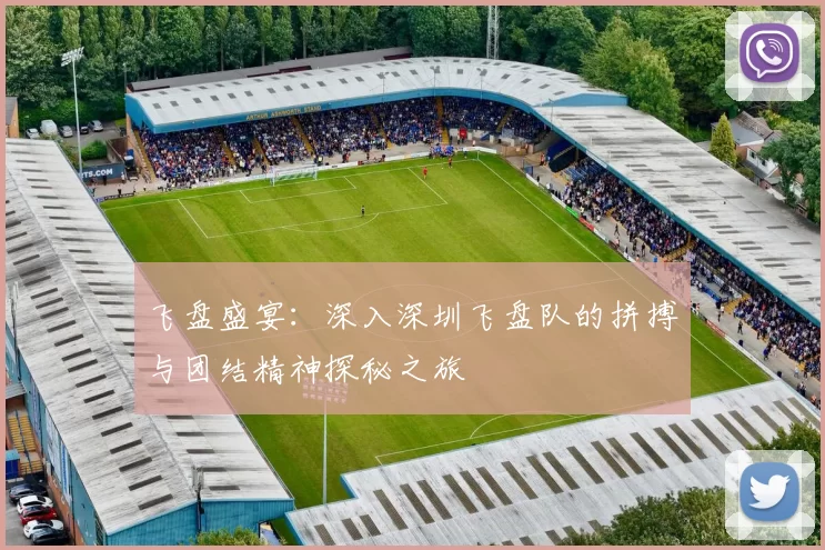 飞盘盛宴：深入深圳飞盘队的拼搏与团结精神探秘之旅