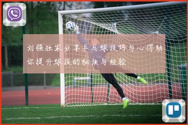 刘强独家分享乒乓球技巧与心得助你提升球技的秘诀与经验