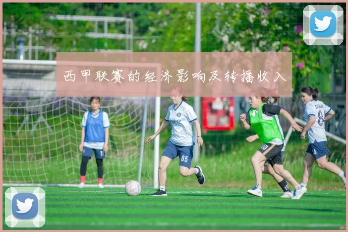 西甲联赛的经济影响及转播收入