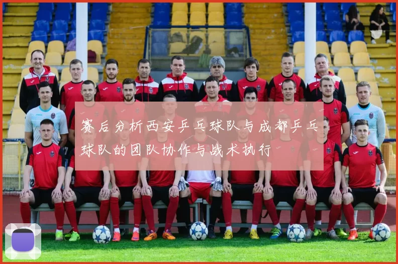 赛后分析西安乒乓球队与成都乒乓球队的团队协作与战术执行