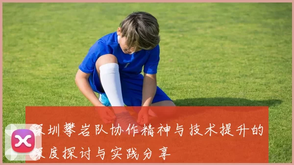 深圳攀岩队协作精神与技术提升的深度探讨与实践分享